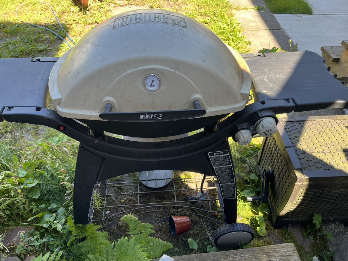 BBQ - photo 4