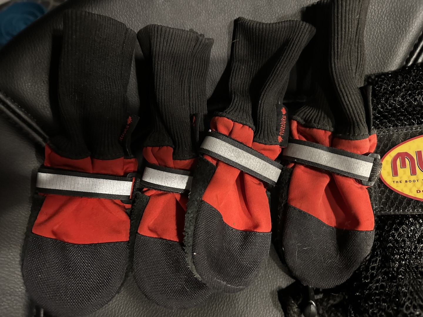 Muttluks Dog Boots ⚽️ image indicator(2)