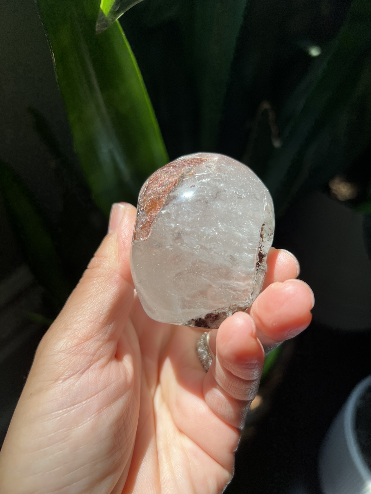 Garden quartz skull carving (J) | crystal image indicator(3)