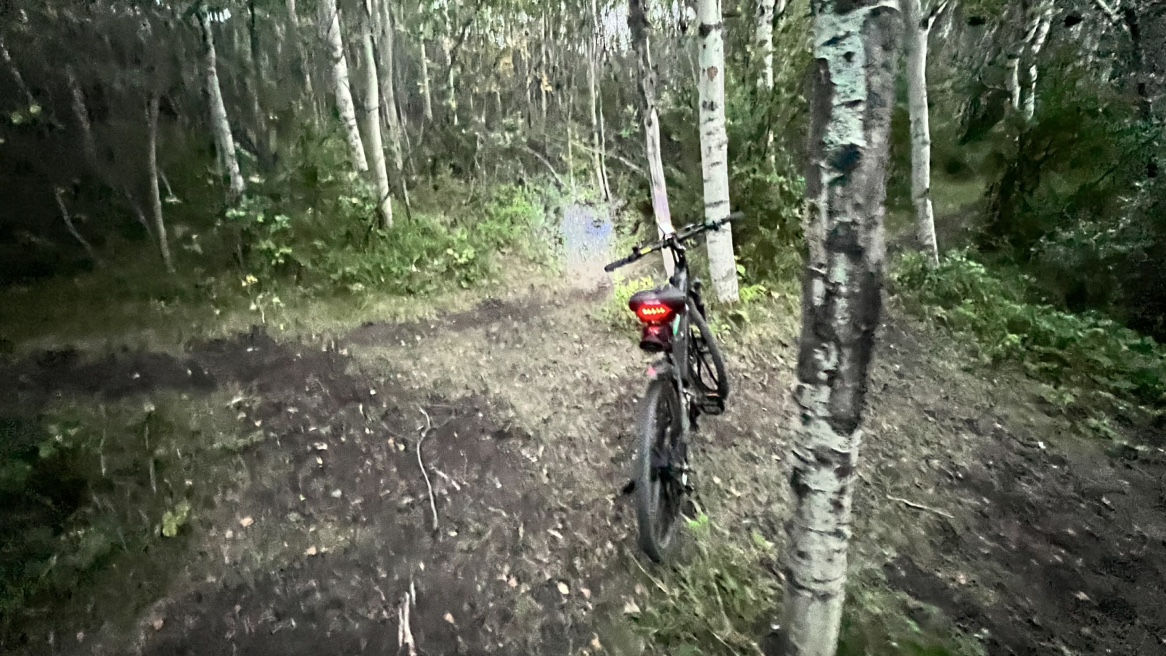 Ebike - photo 5