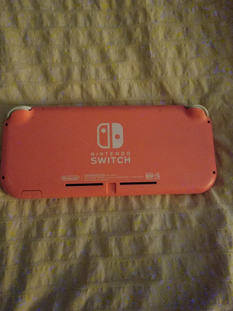 Nintendo switch