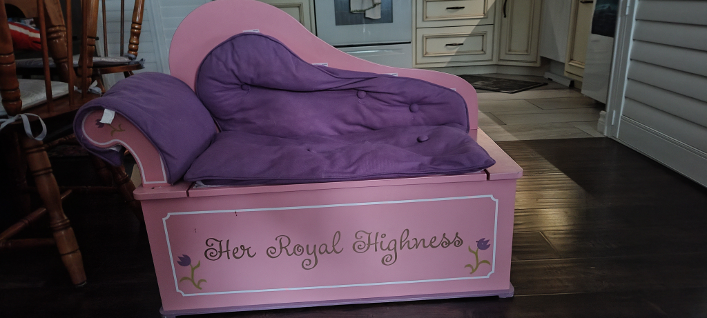 princess lounge/toybox