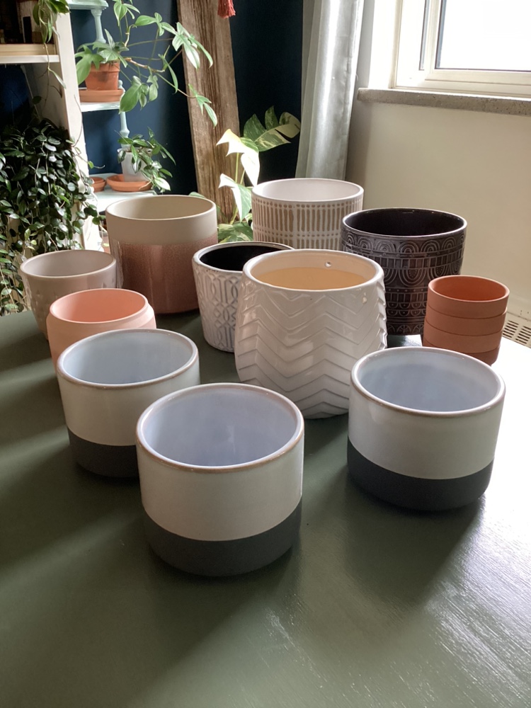 Collection of Plant Pots image indicator(10)