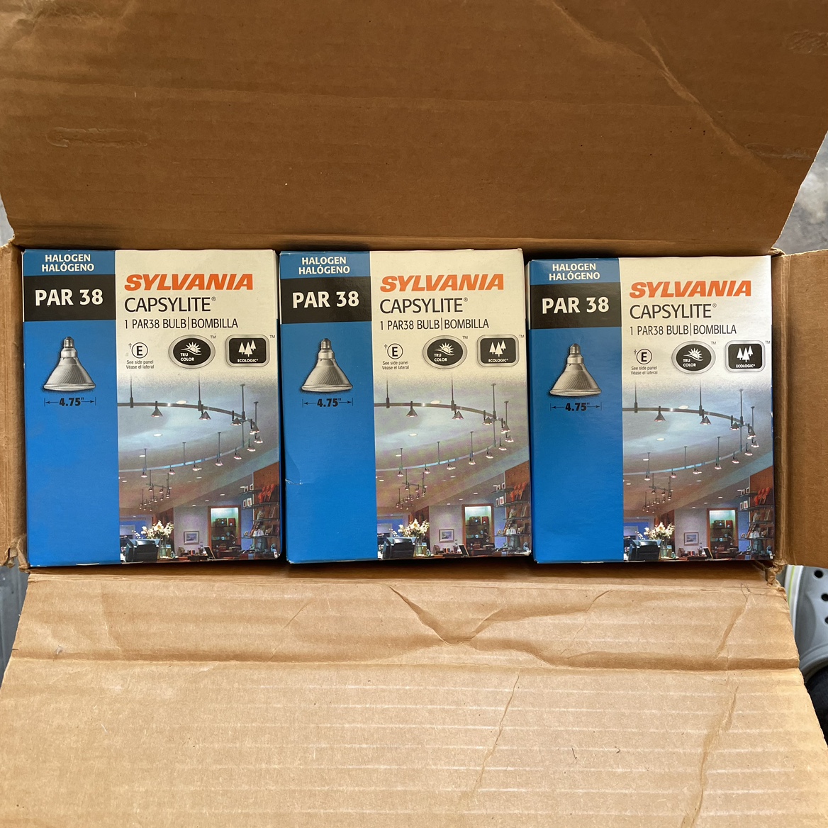 Sylvania Capsylite PAR 38 Bulbs 75-Watt Very Bright image indicator(4)