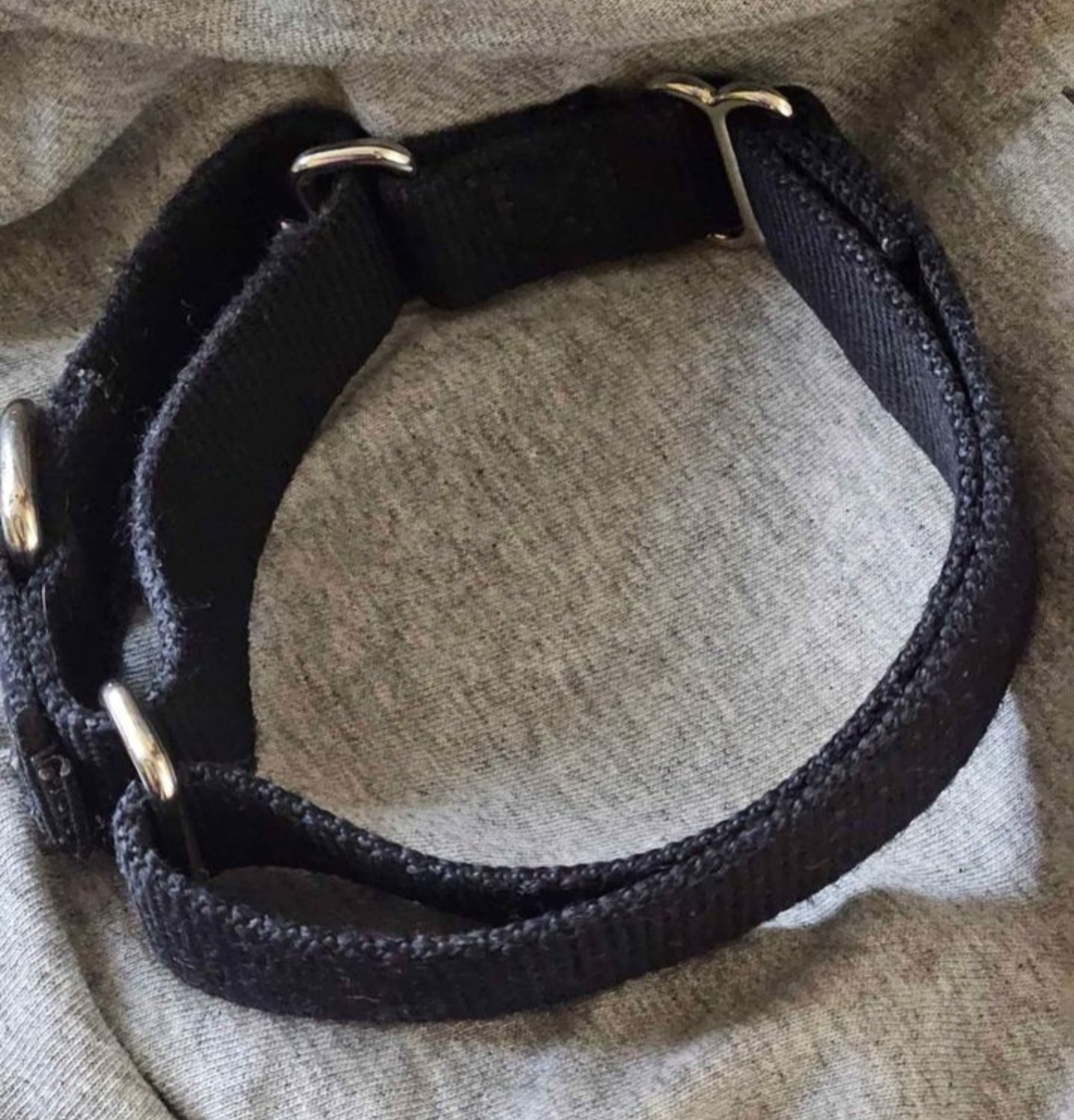 Black Dog Collar Size Medium Adjustable - photo 2