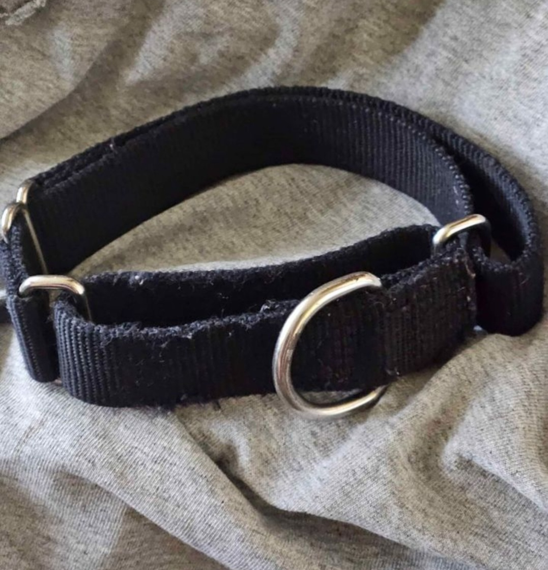 Black Dog Collar Size Medium Adjustable - photo 3