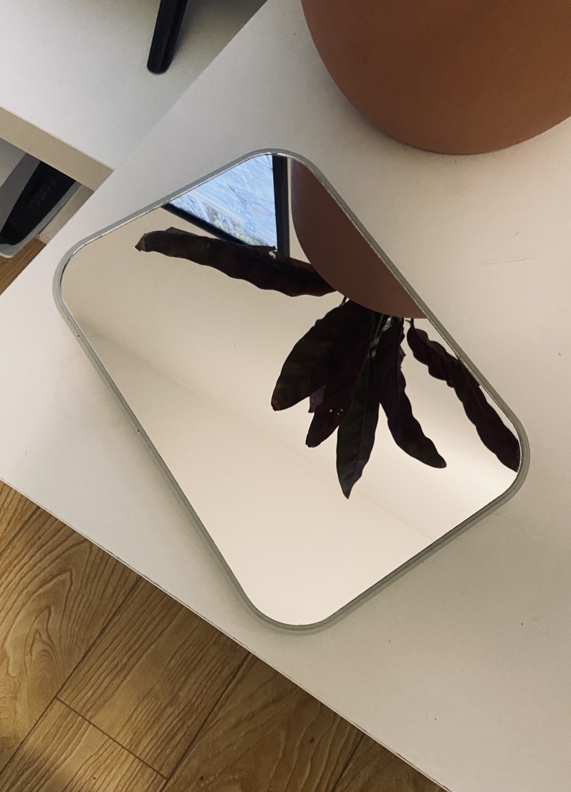 #freecycle Muji Mirror