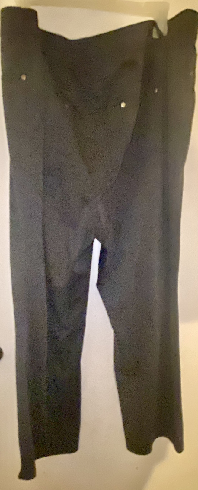 Plus size grey dress/casual pant image indicator(5)