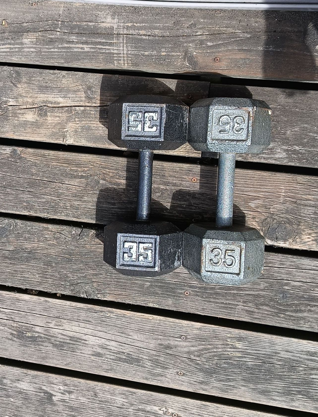 dumbbells 35 lbs