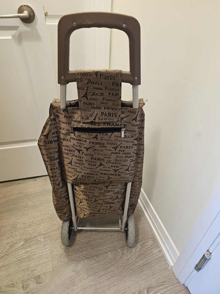 Ezzyrol Shopping Cart - photo 2