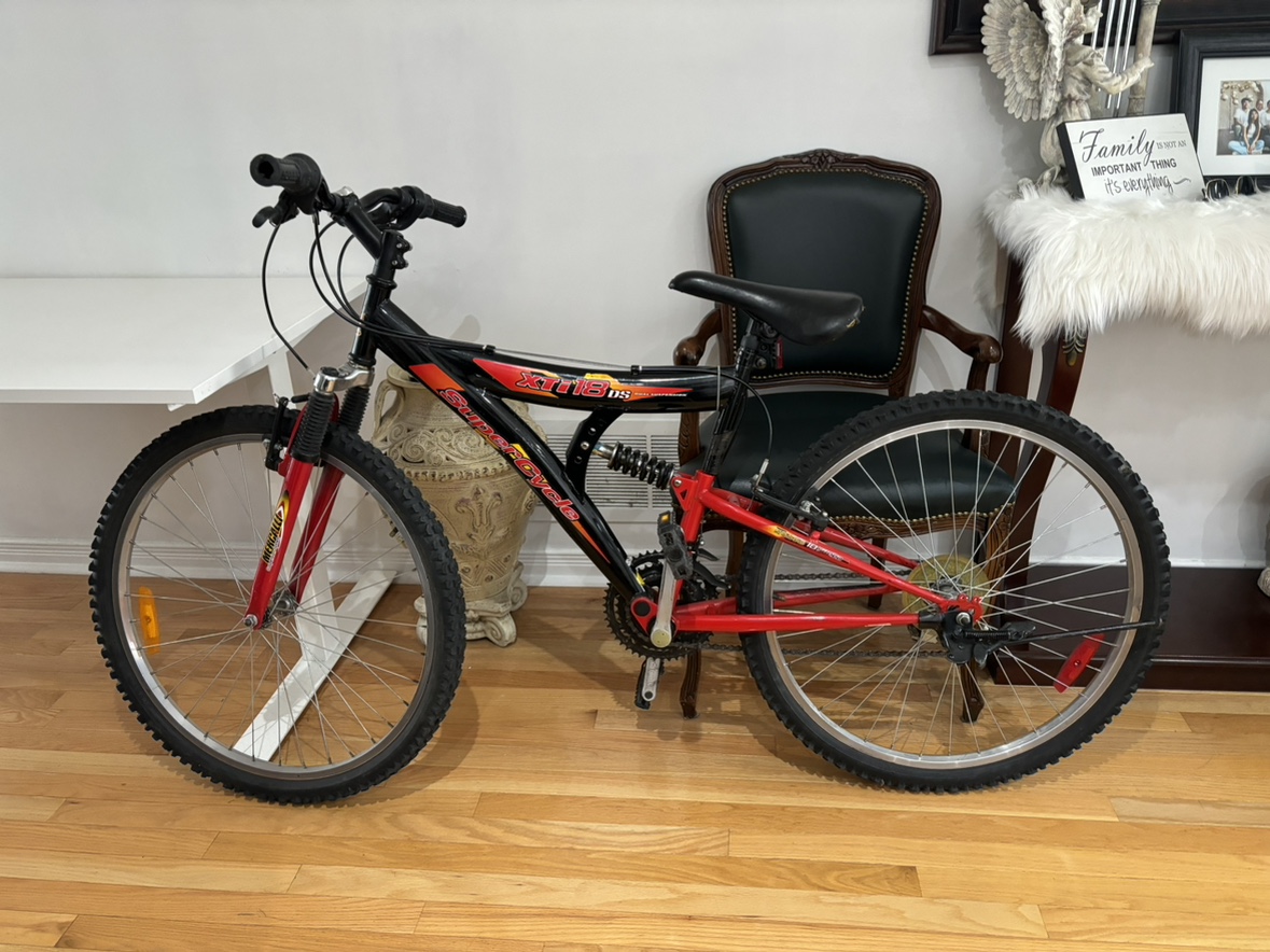 Mountain bike