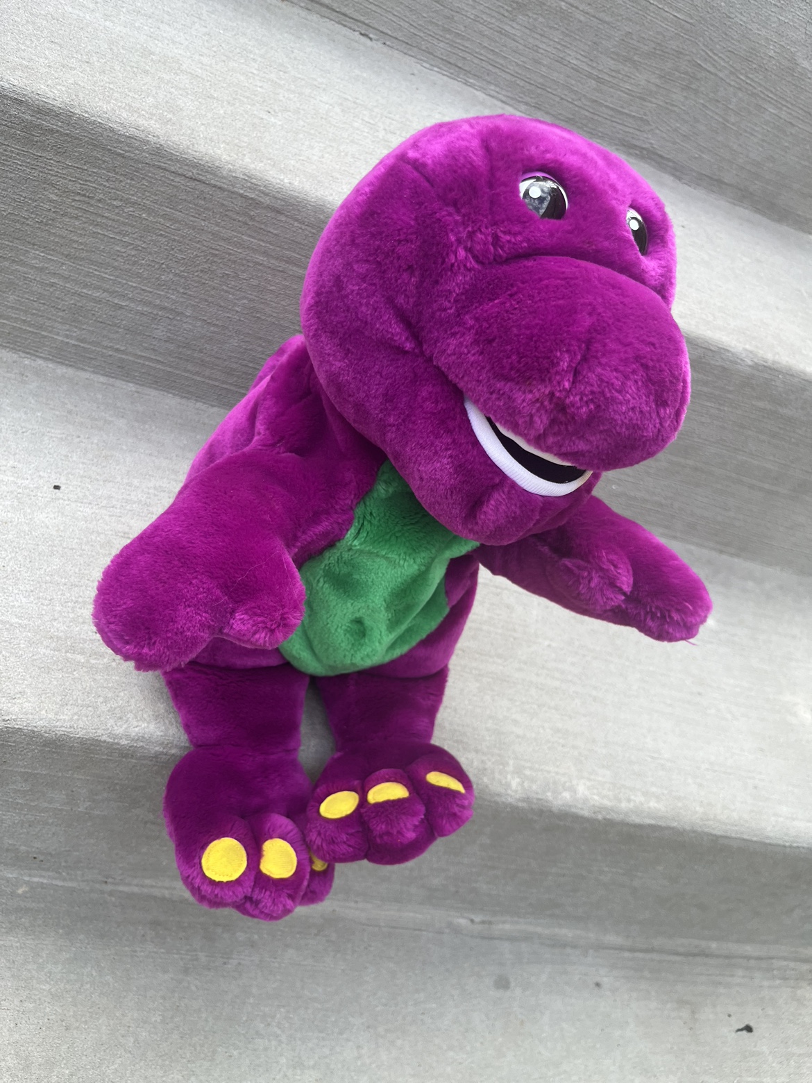 Barney - photo 2