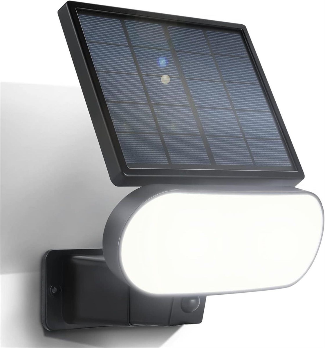 Solar security light