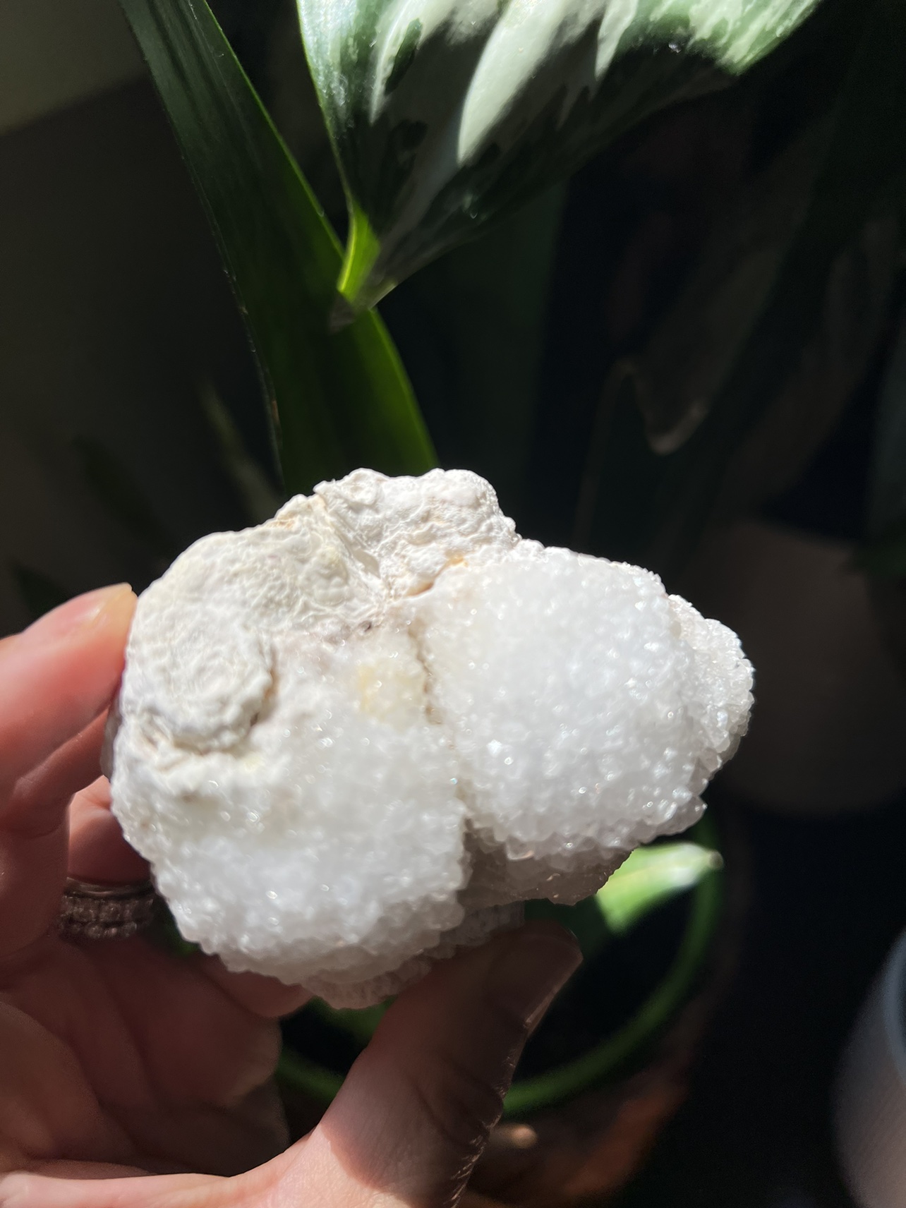 Clear quartz specimen (d) | crystal image indicator(4)