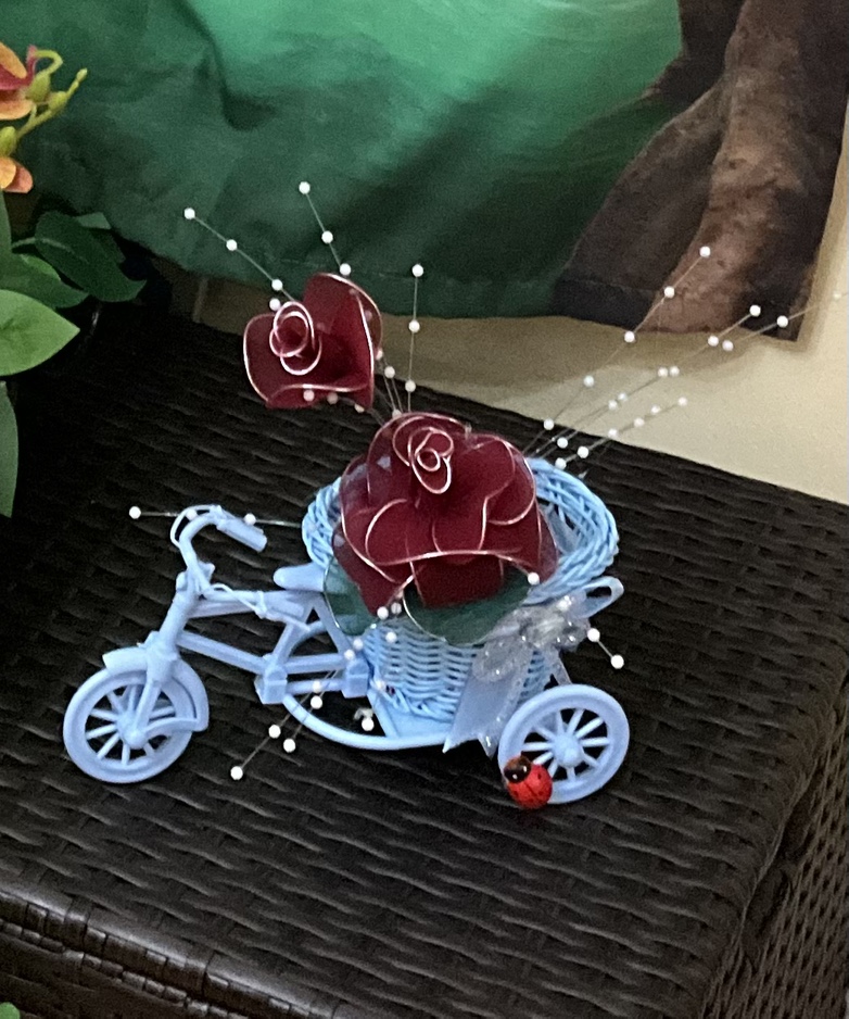 ⚽️ Flowers - blue tricycle ⚽️