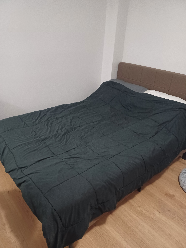 Full sized bed frame and mattress. Move out sale! thumbnail