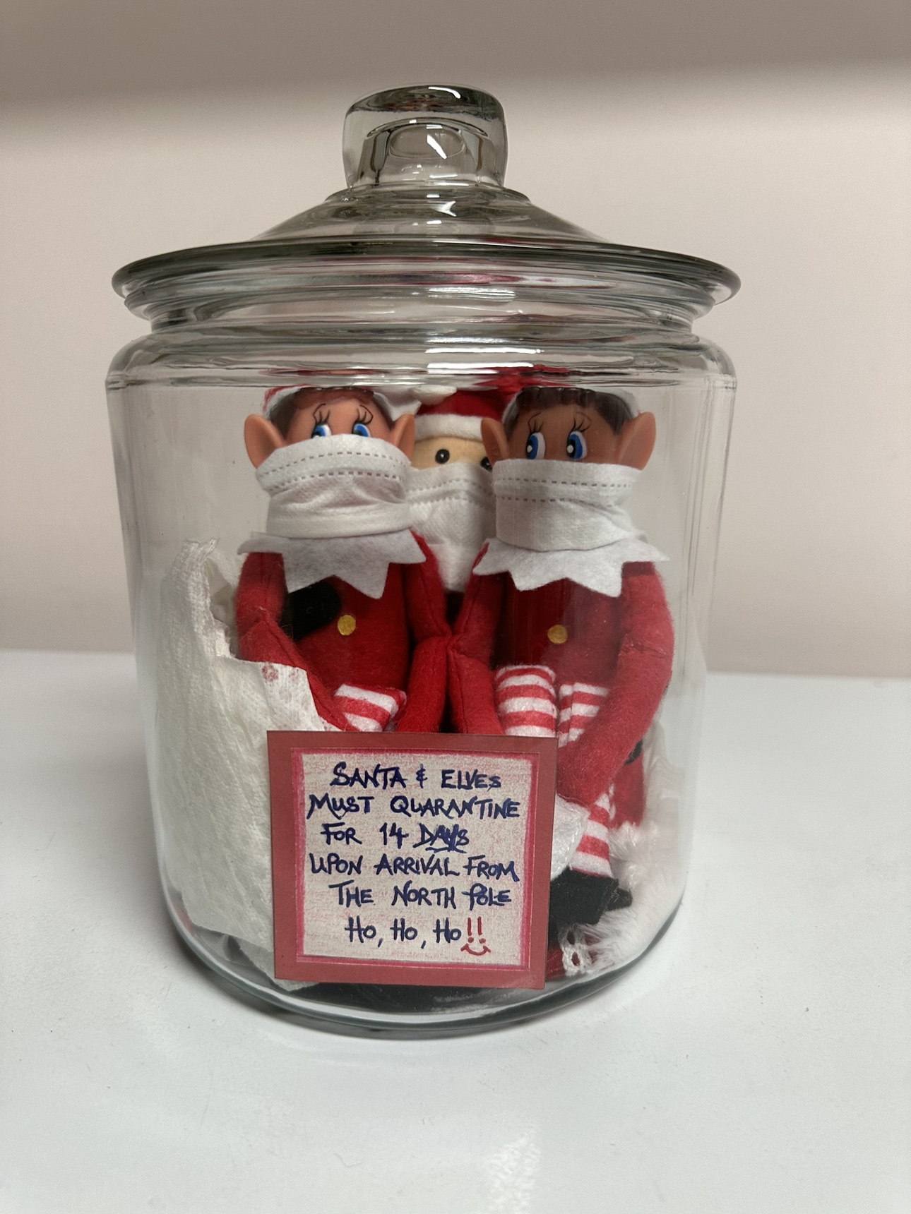 Isolation Elves on a Shelf and Santa in a Jar !!