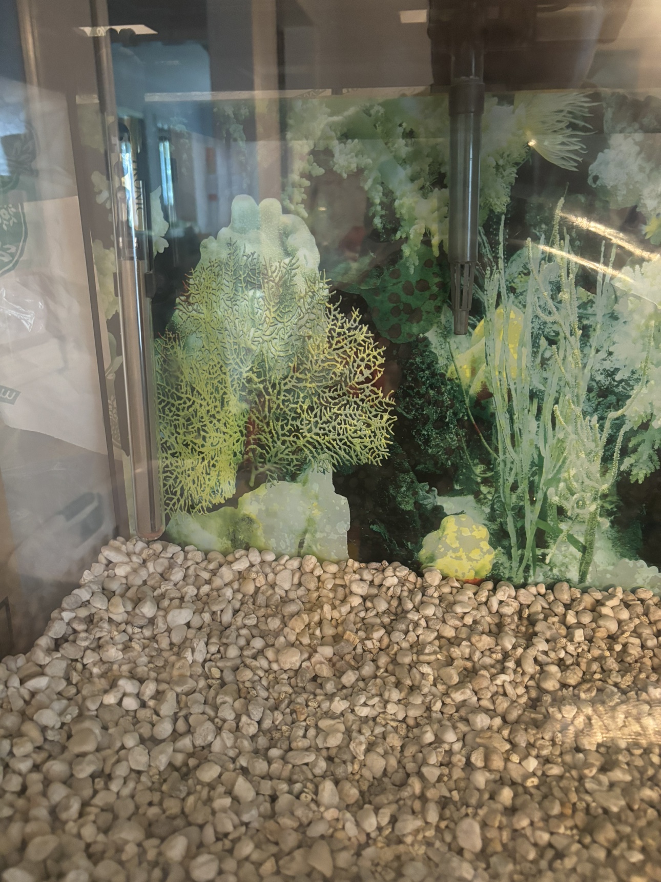 Hartz 20 gallon Fish tank image indicator(4)