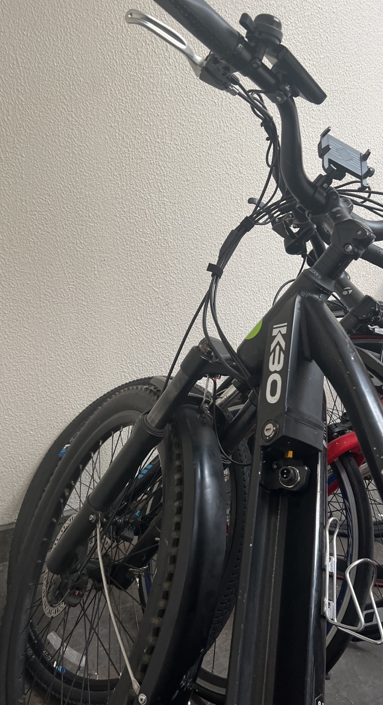 Delivery E-Bike(Whizz)