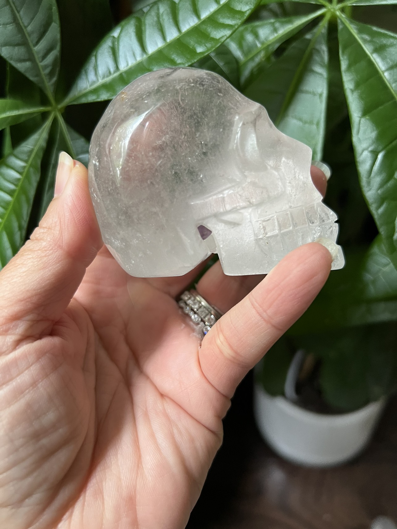 Garden Court skull carving (b) | crystal - photo 3