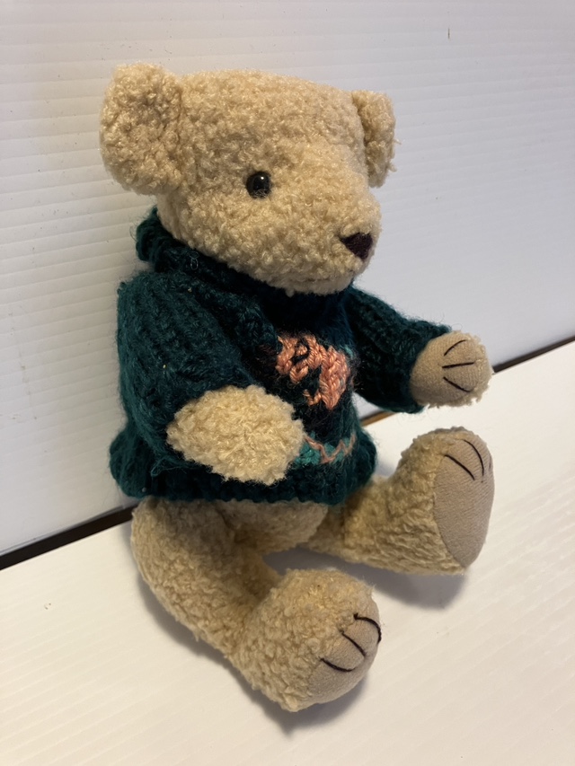 Wooly Teddy Bear image indicator(2)