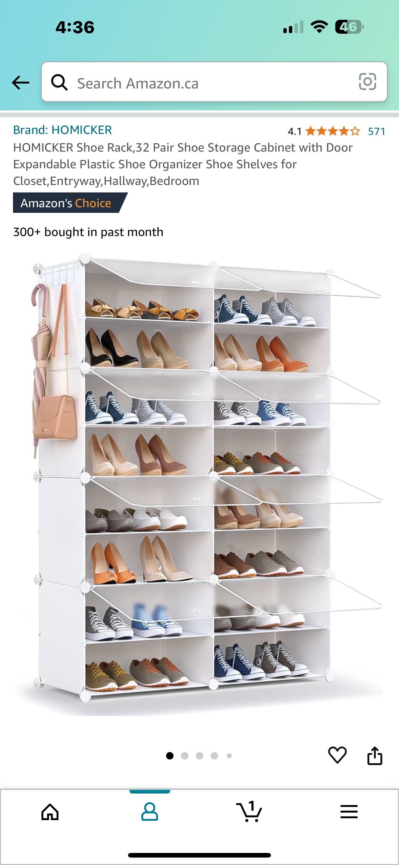 Shoe organizers x 2
