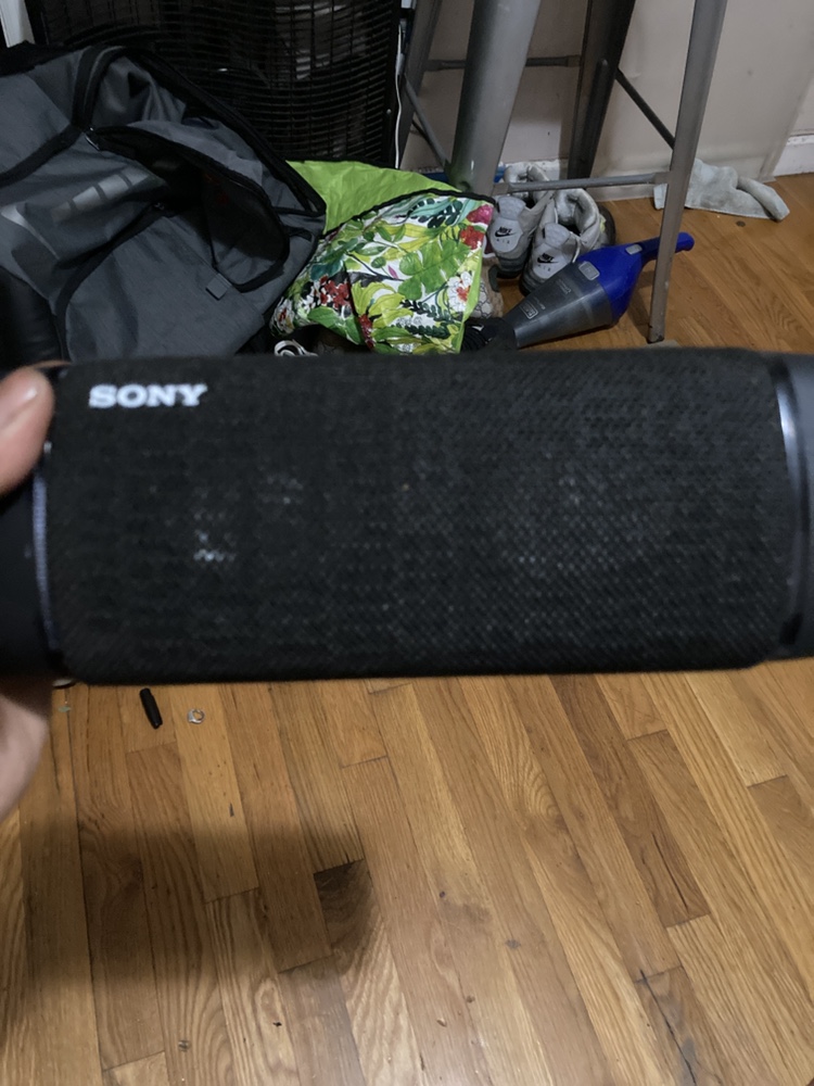 Sony speaker