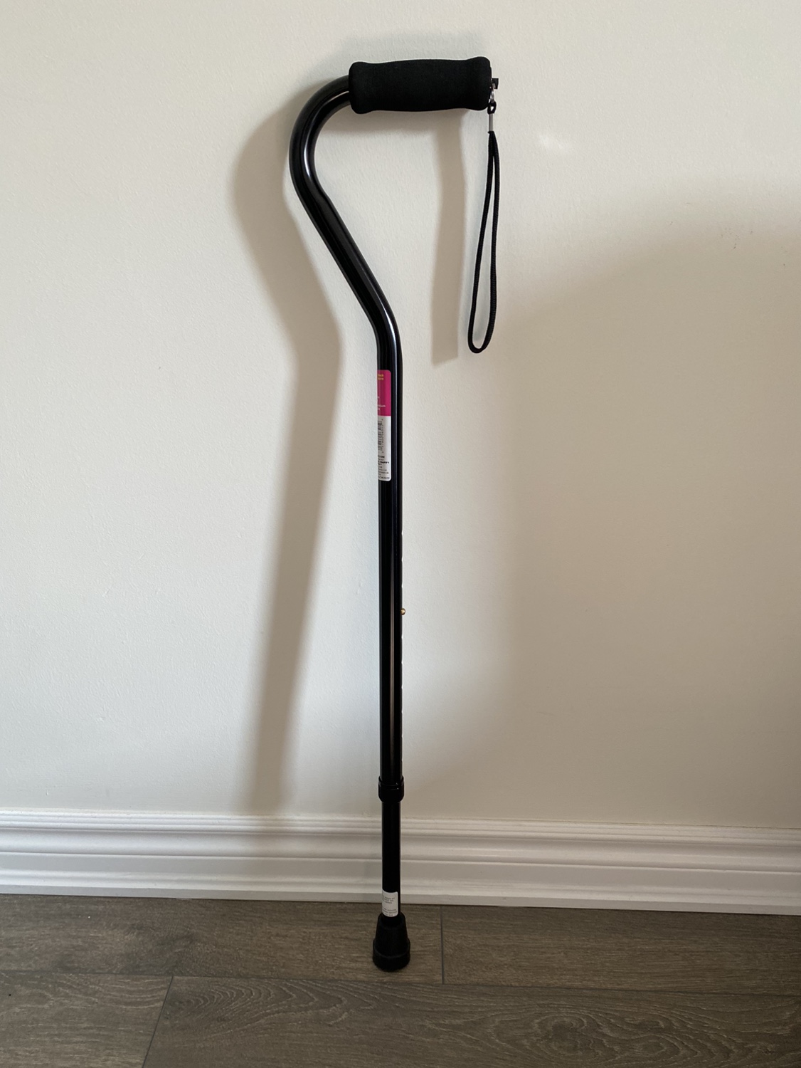 Cane