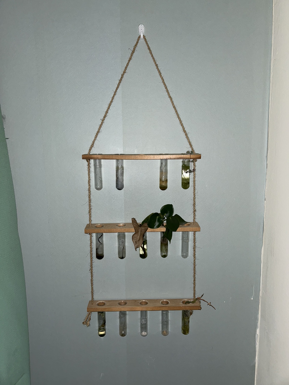 Plant propagation station