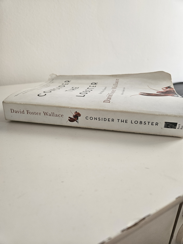 Consider the Lobster essays by David Foster Wallace #freecycle - photo 3