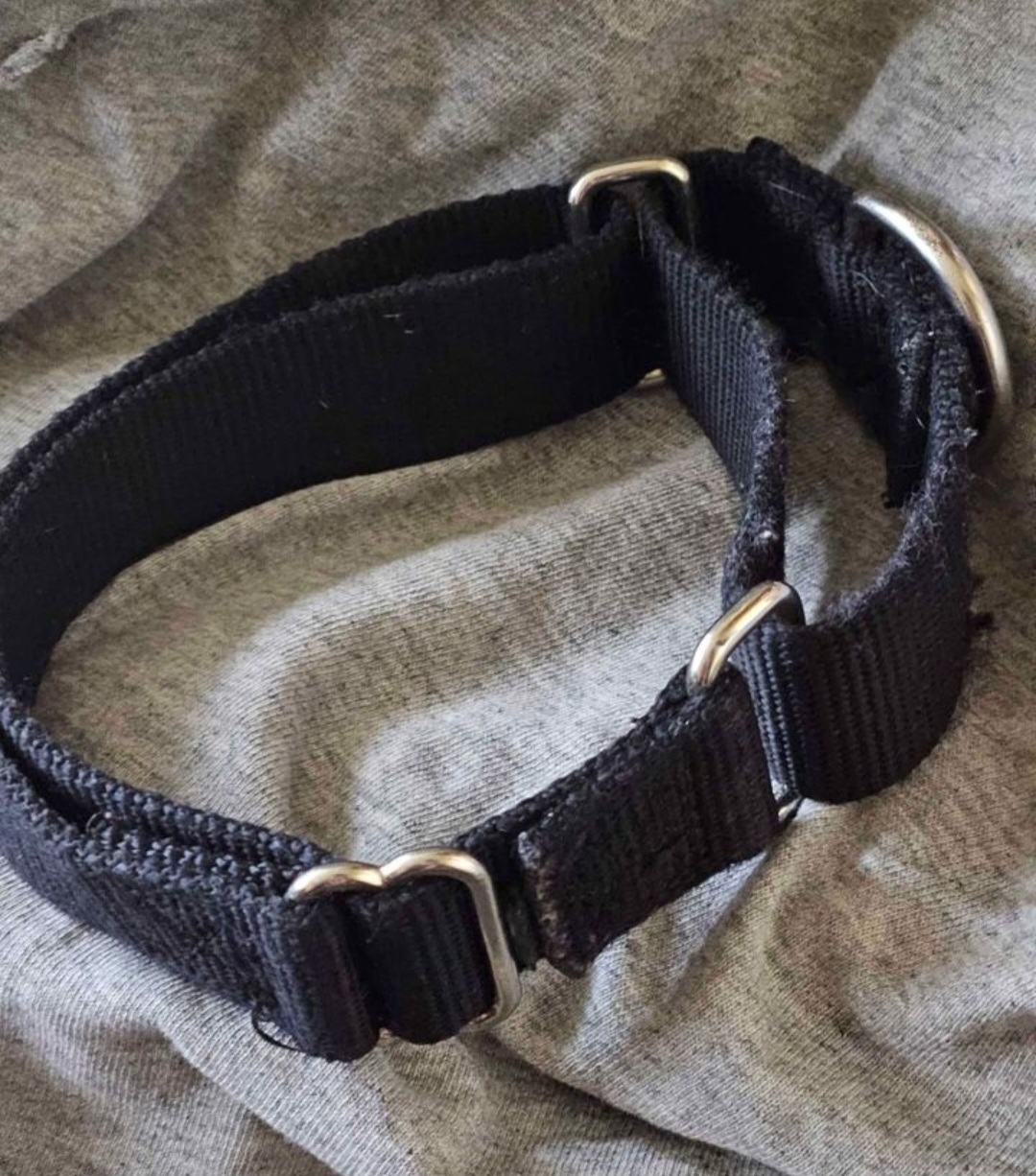 Black Dog Collar Size Medium Adjustable