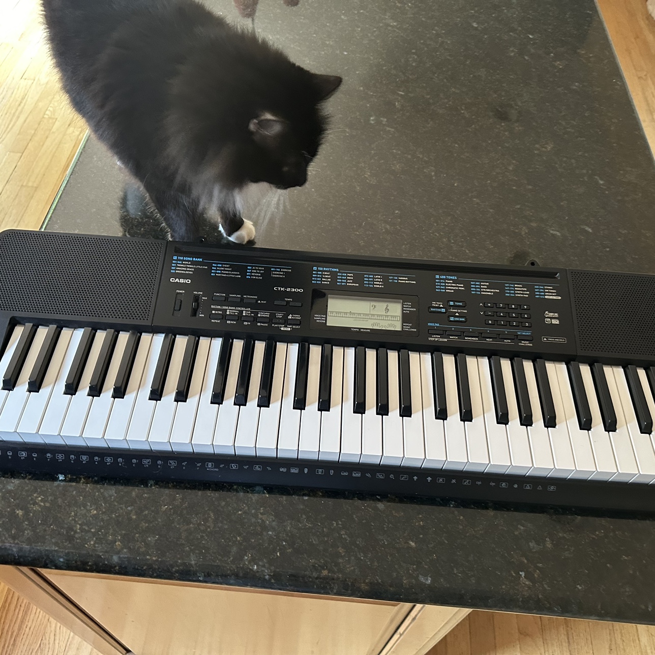 CASIO CTK-2300 keyboard/electric piano - photo 2