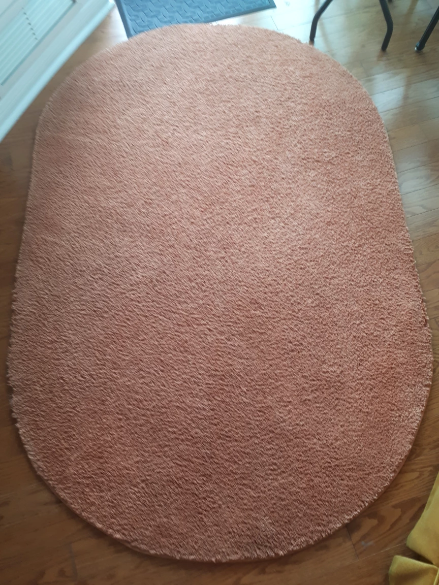 oval shape rug 4' x 6' image indicator(2)