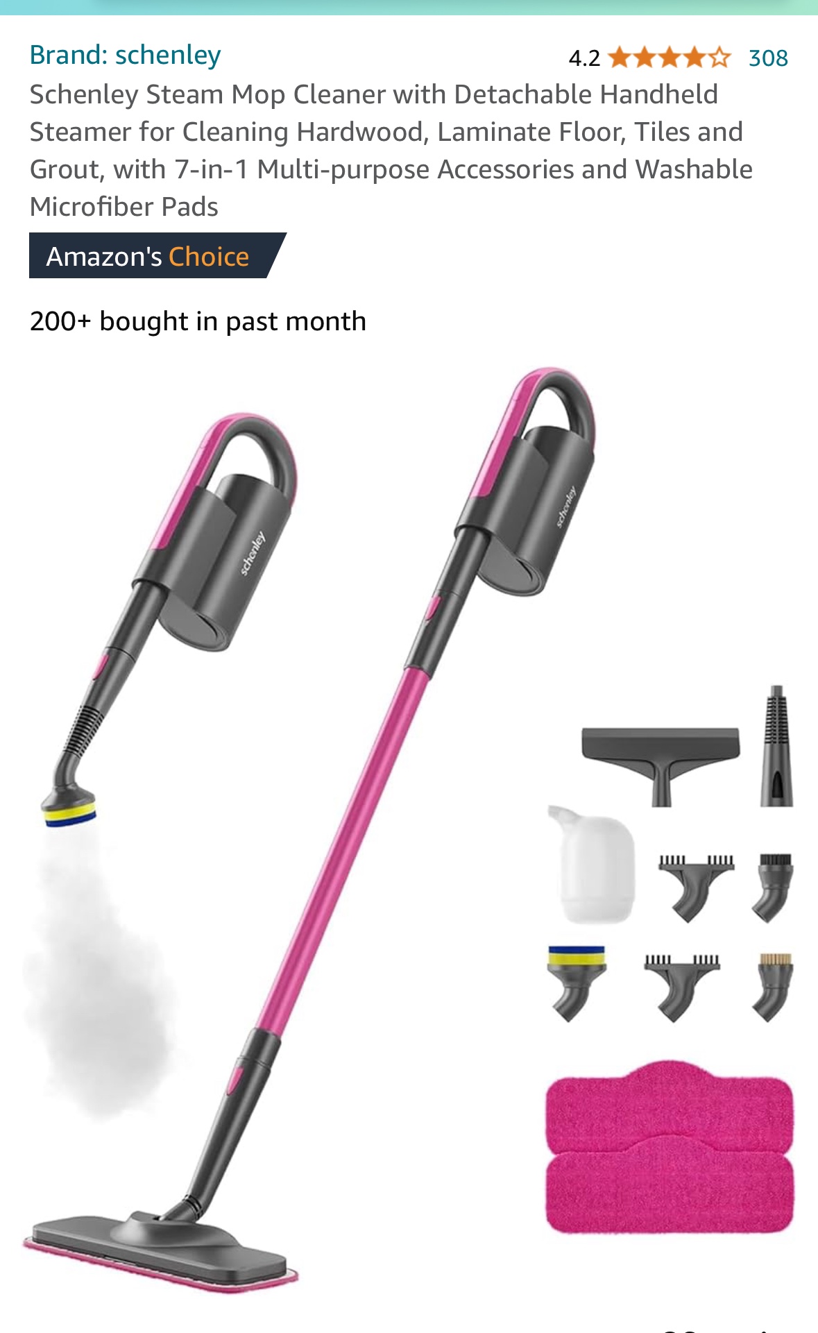 Steam mop