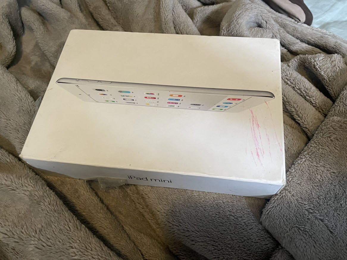 iPad mini box #freecycle
