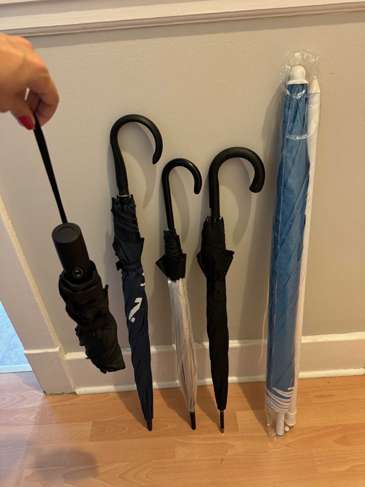 Umbrella