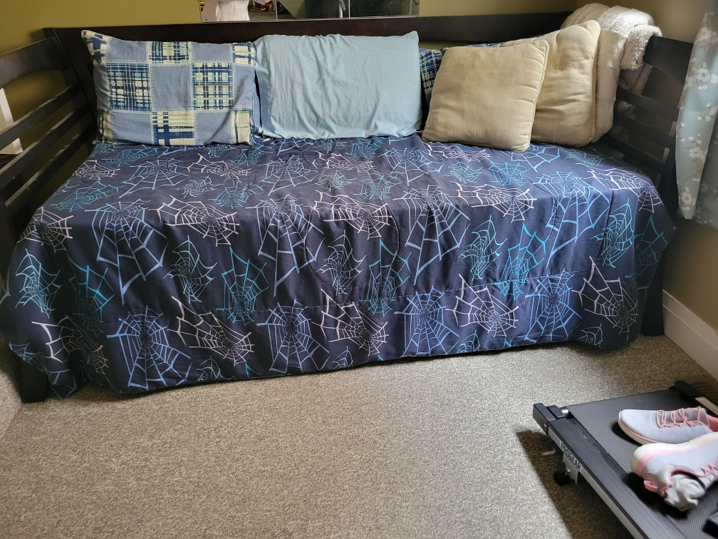 twin day bed with trundle