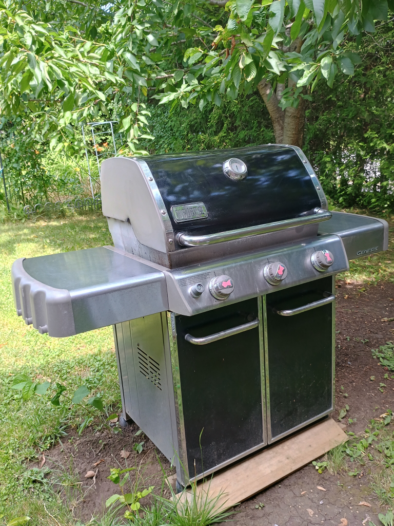 barbecue - photo 2