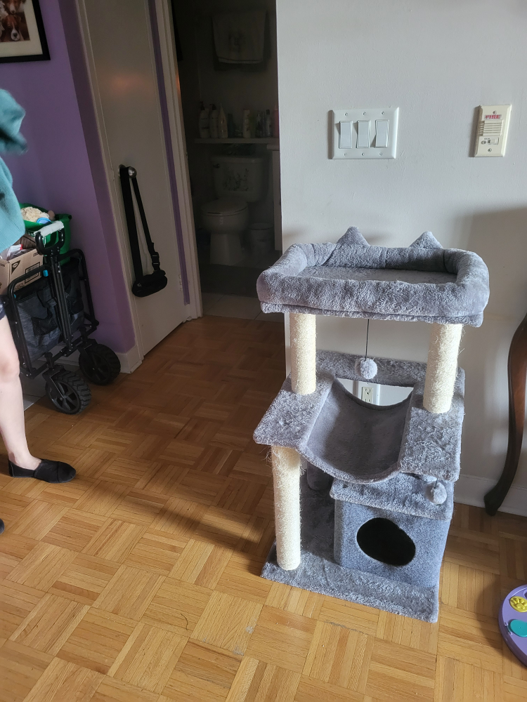 cat condo thumbnail