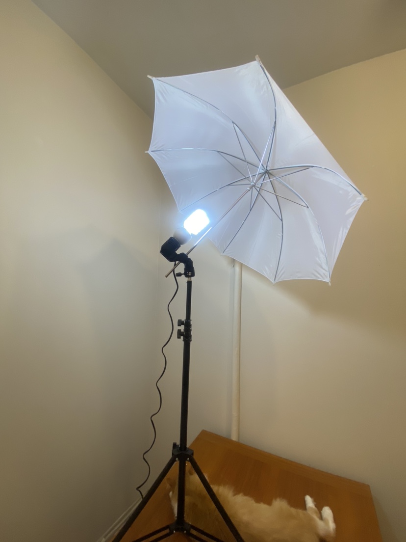 Photoshoot Lighting Equipment