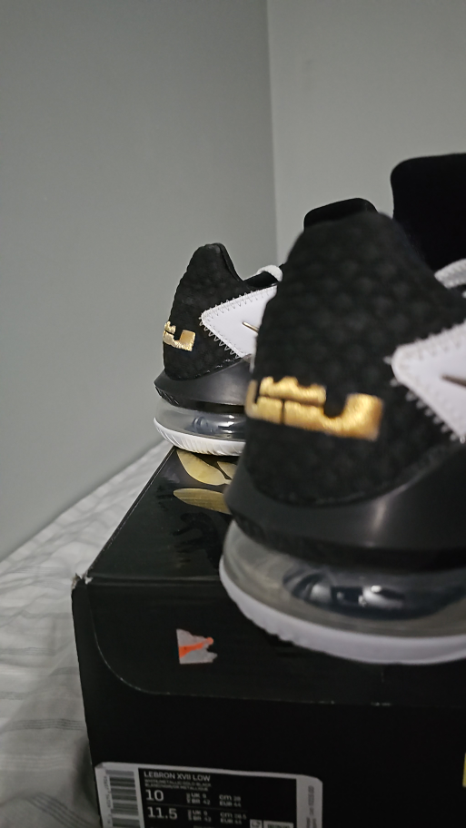 lebron james 17