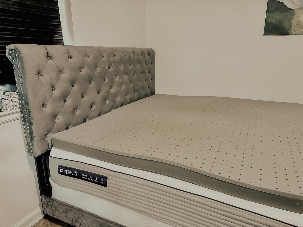 Baxton Studio Platform King Bed (with Purple Foam Mattress)