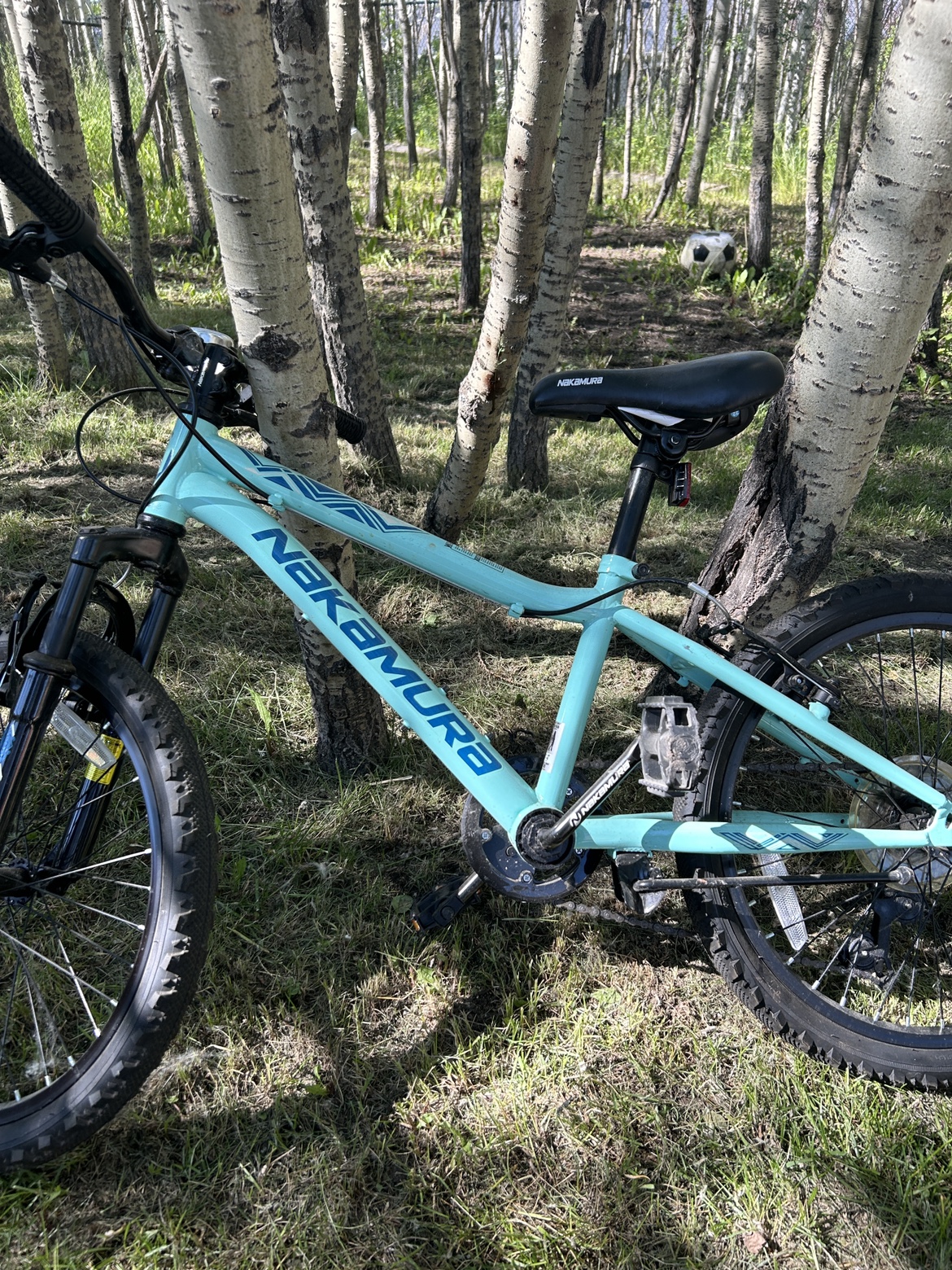 Kid’s Bike - photo 2