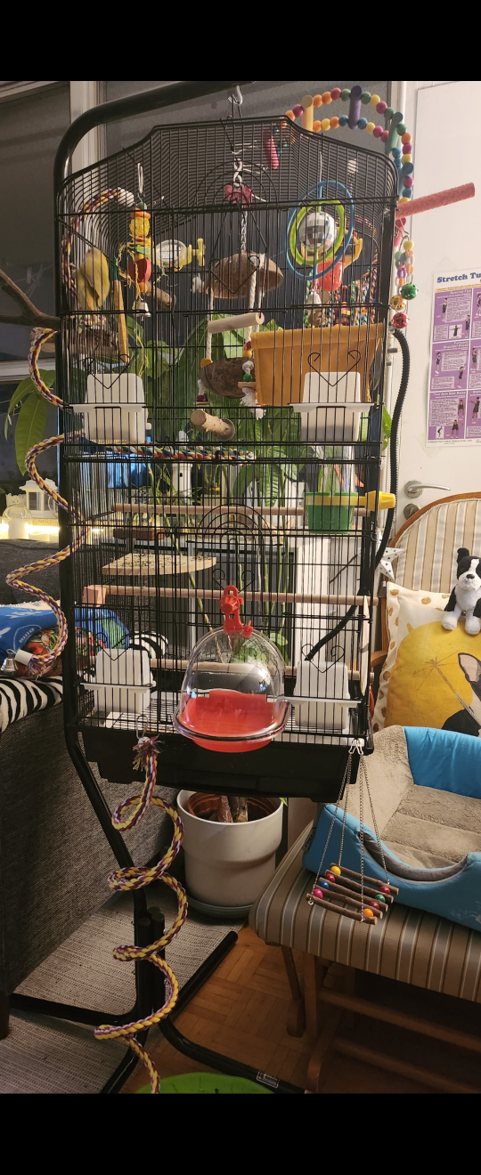 JW InSight BirdBath image indicator(6)