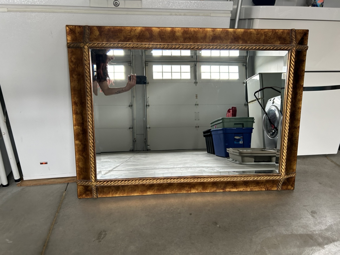 Mirror image indicator(2)