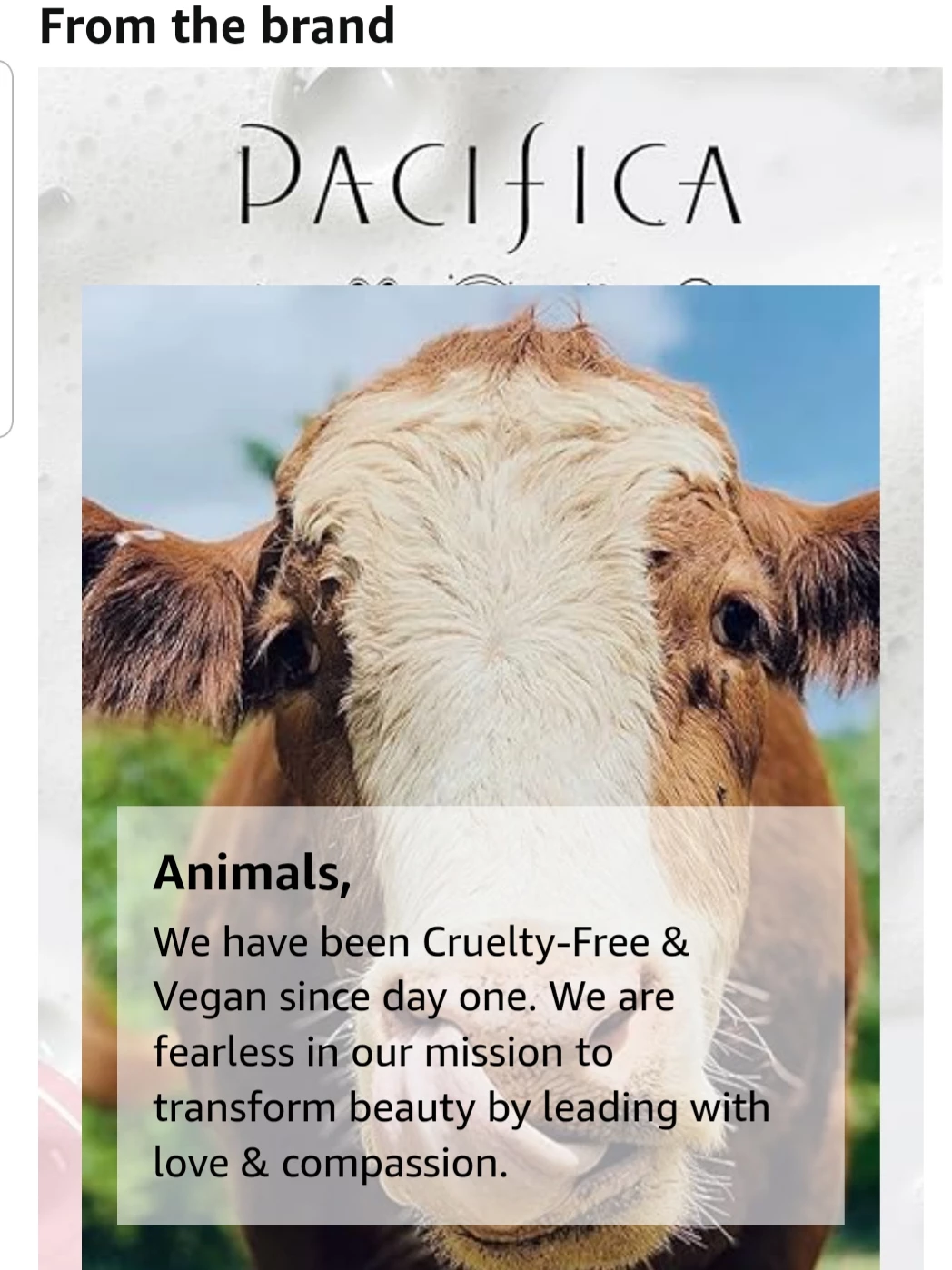 BRAND NEW PACIFICA Beauty Neitralizing Mineral Mattifier 0.28oz image indicator(6)