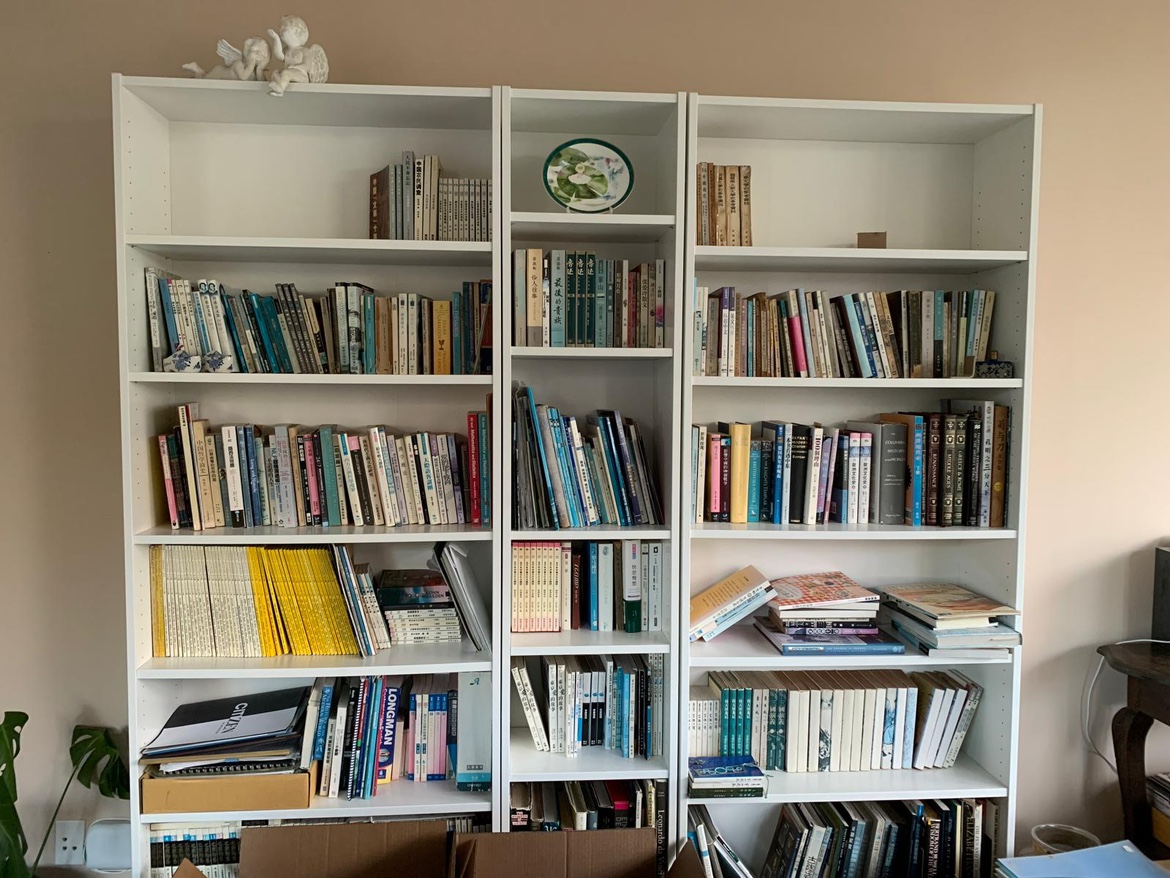 IKEA billy bookcase x 2