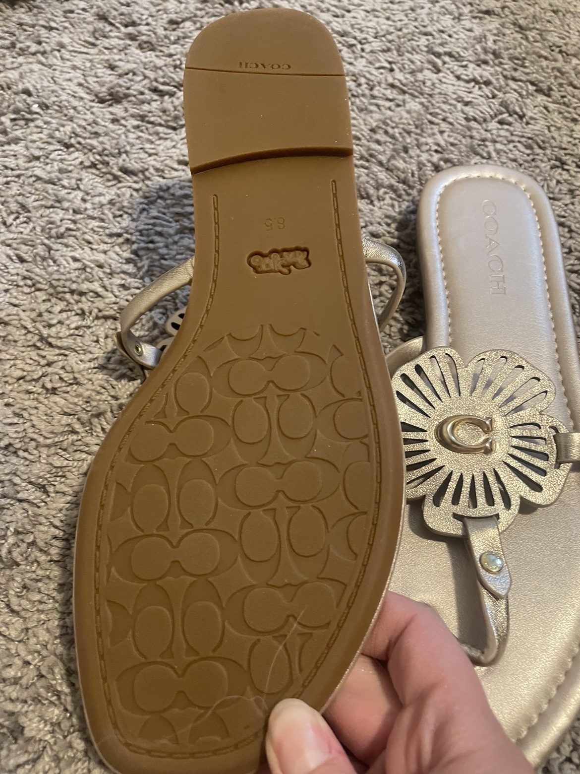 Adorable size 8.5 coach sandals image indicator(4)