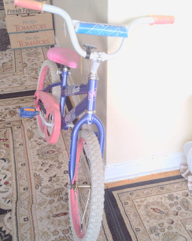 girls bicycle image indicator(6)