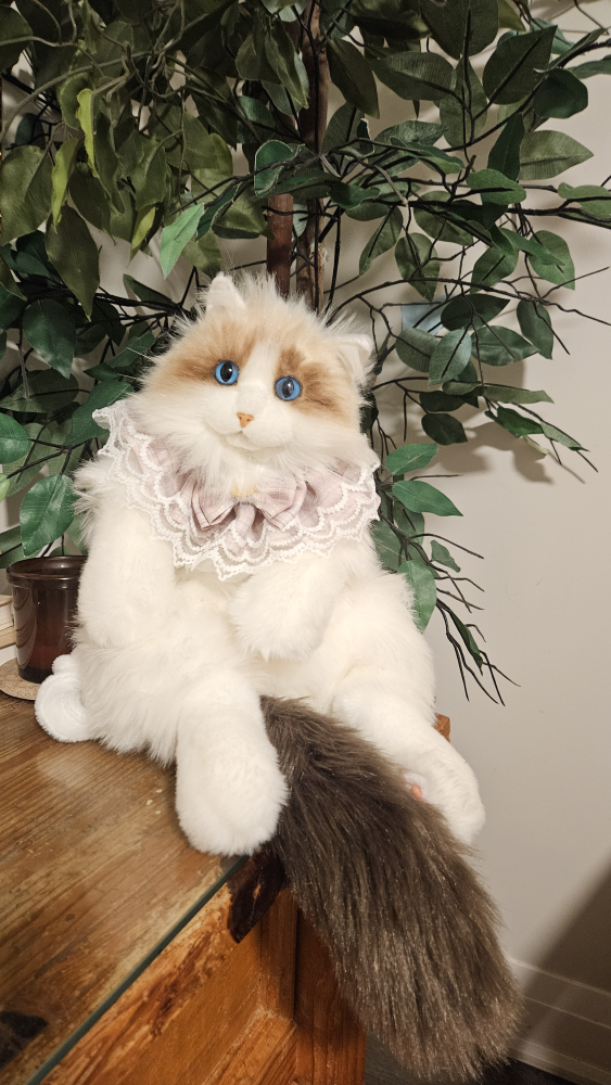 Chongker ragdoll backpack thumbnail